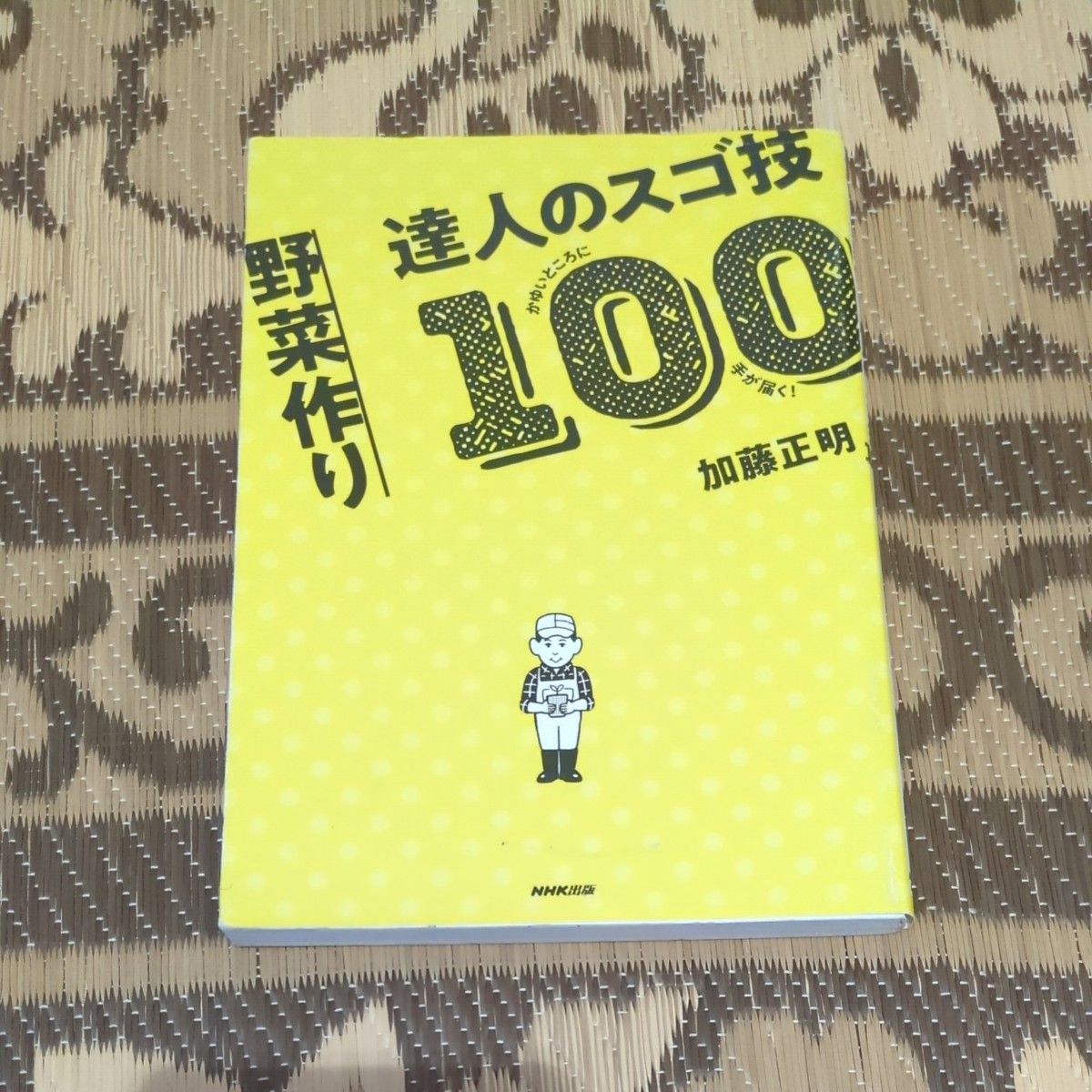 100 Expert Tips for Vegetable Gardening: Reaching Every Itchy Spot (Reaching Every Itchy Spot) by Masaaki Kato