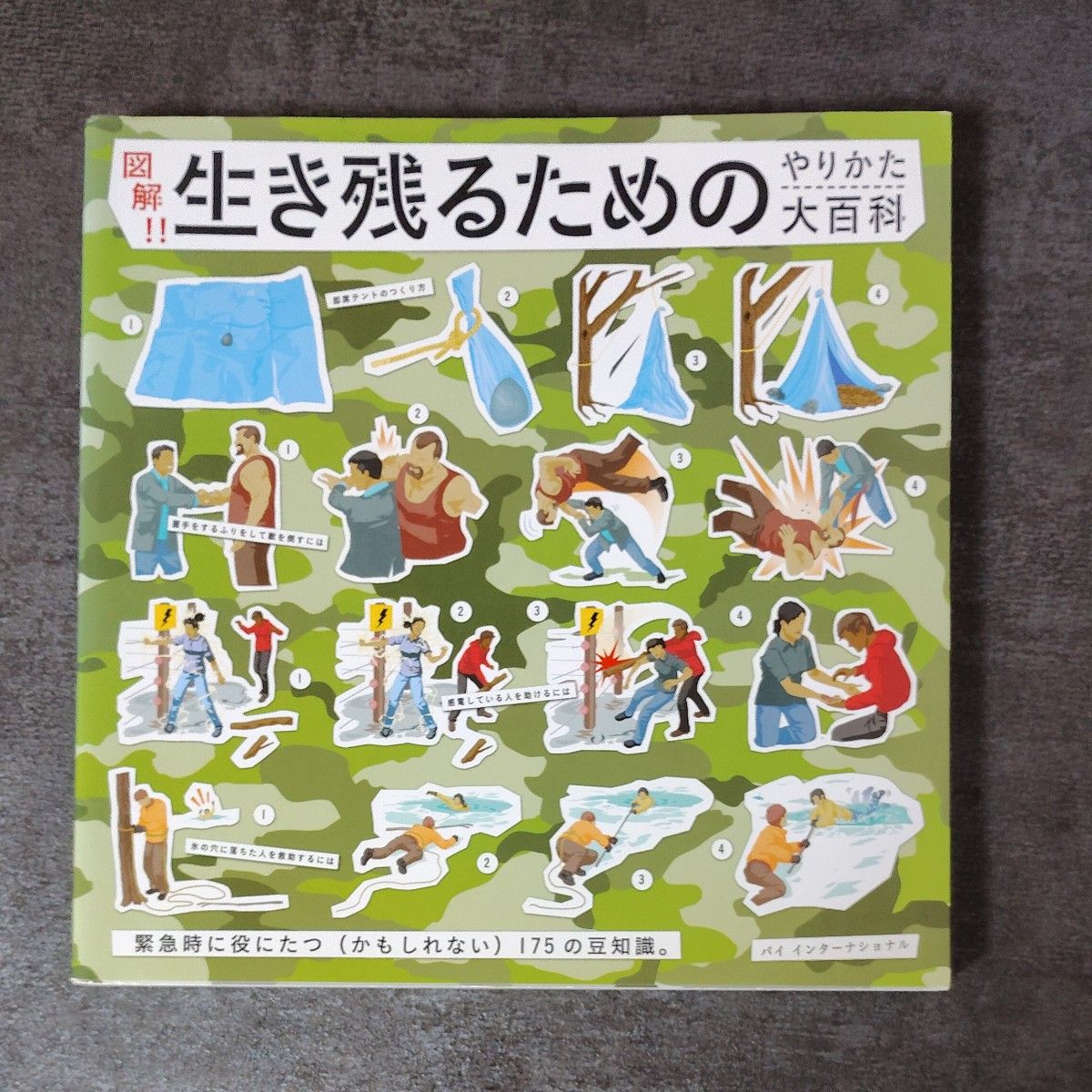 Illustrated Encyclopedia of Survival Strategies: 175 Tips That Might Come in Handy in Emergencies